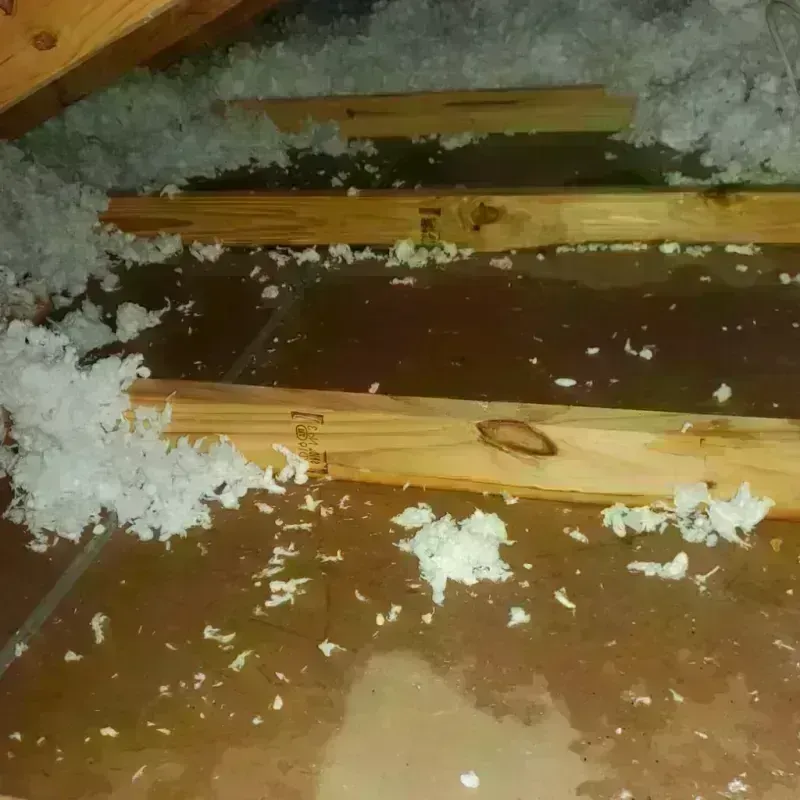 Attic Water Damage in Red Lick, TX